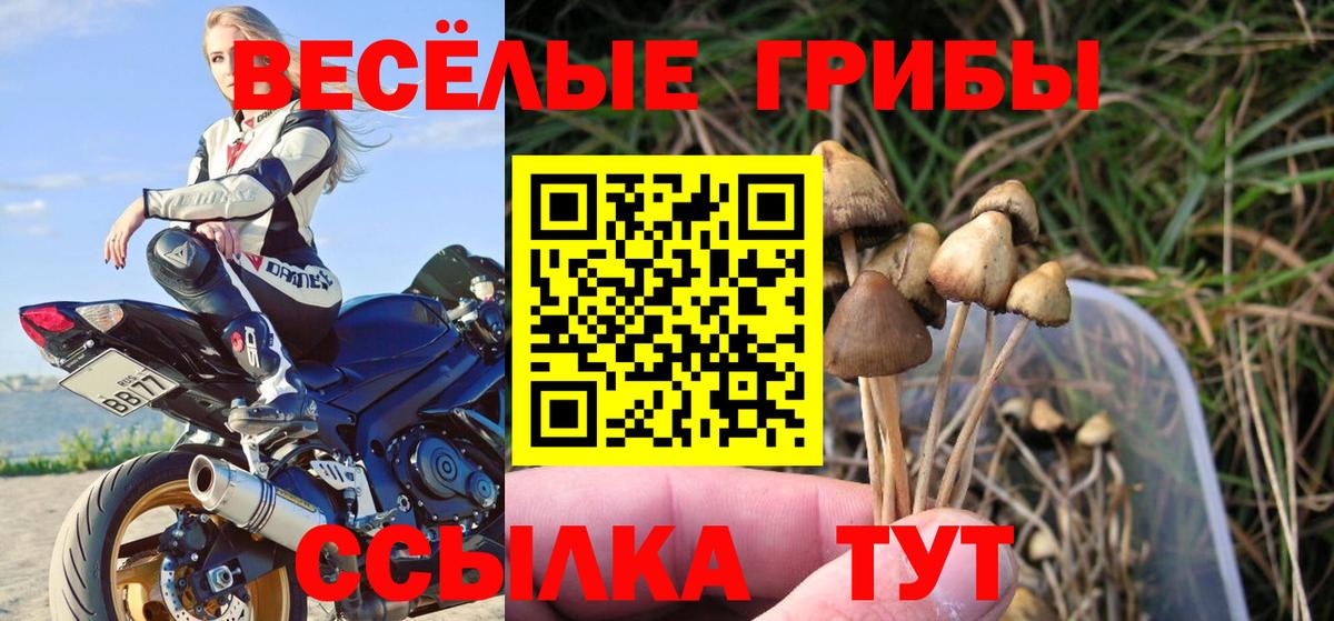 Псилоцибиновые грибы MAGIC MUSHROOMS Тамбов