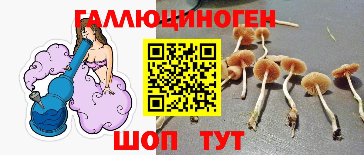 Галлюциногенные грибы прущие грибы  Вход с VPN  Галлюциногенные грибы GOLDEN TEACHER  Тамбов 