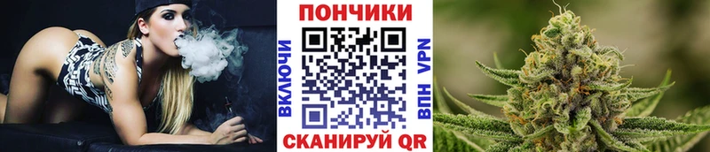купить наркоту  гидра ссылка  Бошки марихуана гибрид  Тамбов 