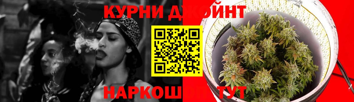 Конопля гибрид Тамбов