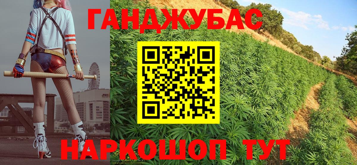 Каннабис планчик  Вход с VPN  Конопля сатива  Тамбов 